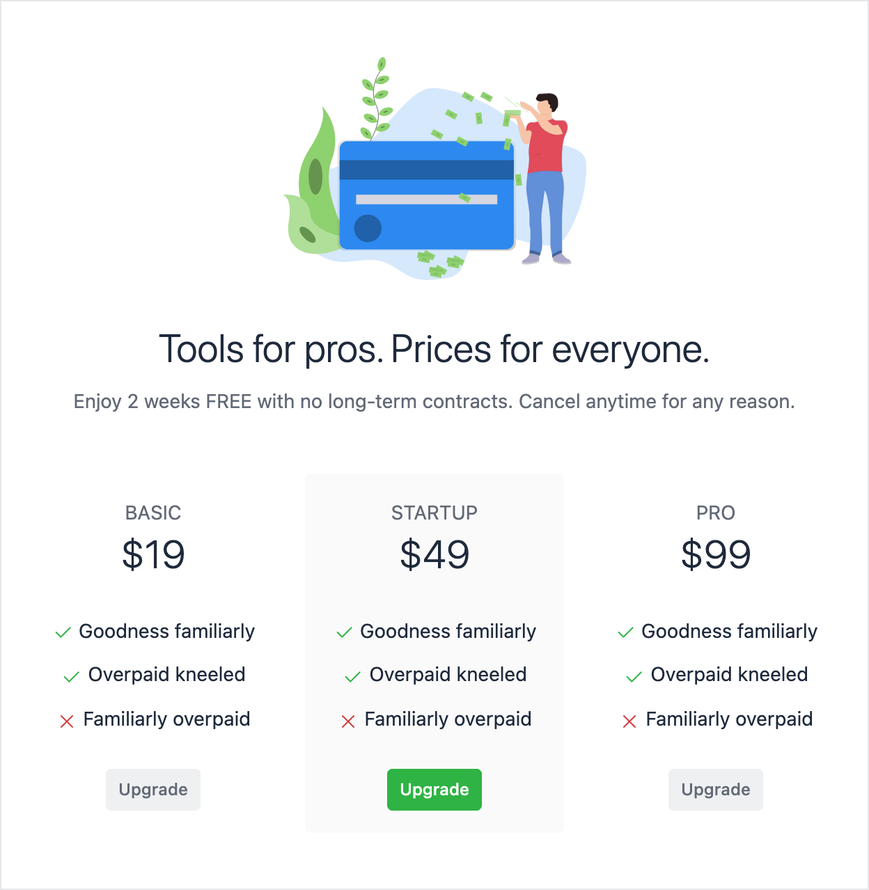 Email template with the given pricing